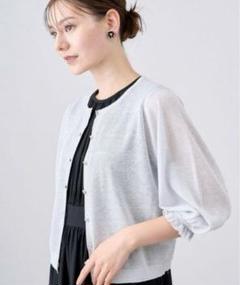 ANAYI✨ 23SS 完売品 レーヨンラメクルーネック カーディガン 36 ANAYI✨ 23SS 完売品 レーヨンラメクルーネック カーディガン 36