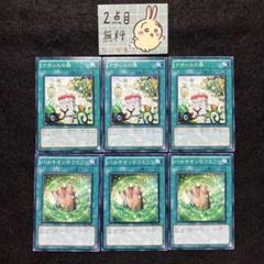 12790 遊戯王　ナチュル　DT/ターミナル　デッキパーツ 遊戯王 - 遊戯王 ナチュル デッキパーツ 32枚セットの通販 by