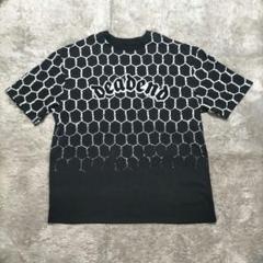 DankeSchon ダンケシェーン Tシャツ フェンスプリント