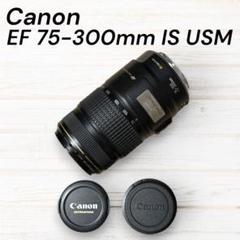 ⭐️美品　手ぶれ補正付きCanon EF 75-300㎜F4-5.6 IS EF75-300mm F4-5.6 IS USM - キヤノンカメラミュージアム