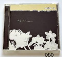 Hope Sandoval & The Warm Inventions