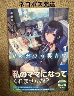Vのガワの裏ガワ1