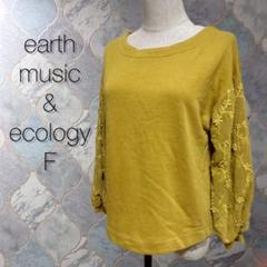 earth music & ecology シフォン刺繍　カットソー　バルーン袖