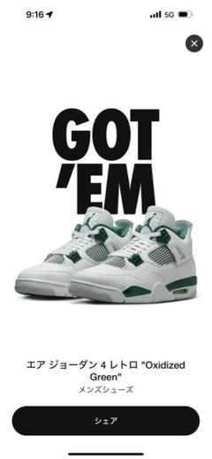 エアジョーダン4 Oxidized Green 25センチ air-jordan-4-oxidized-green-0