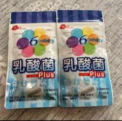 新品未開封 ローズコーポレーション乳酸菌Plus 2袋セット - メルカリ