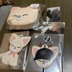 猫型キャラクターポーチとフォトカードI.N