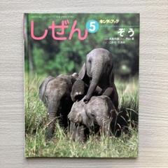 絵本/20冊/まとめ売り/キンダーブック/しぜん/動物/知育/みやにしたつや Yahoo!オークション - 33 しぜん キンダーブック 2021年12月号