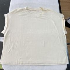 Tシャツ レディース 半袖 ショート丈 トップス ベージュホワイト　L