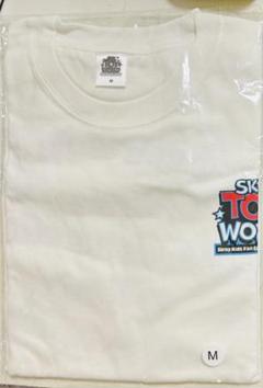 StrayKids ペンミ Tシャツ OVERSIZE T-SHIRT - PuppyM / Stray Kids『5-STAR Dome Tour