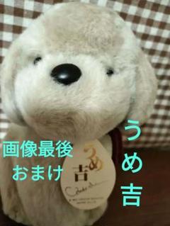 2025年最新】オリエンタルトーイ ぬいぐるみ本体の人気アイテム