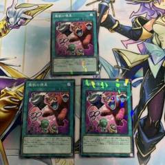 魔獣の懐柔　ノーパラ　ノーマルパラレル　3枚