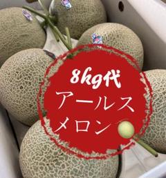 果物 フルーツ メロン アールスメロン 青肉 大玉 8kg - メルカリ
