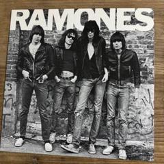 パンクロック‼️ロカビリー‼️パワーポップ‼️など68枚‼️ セットになります。レア盤 PUNK RODのレビュー！C8ベース？のサイバー・ホット・ロッド