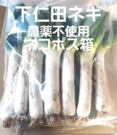 土ネギ　土付ネギ　泥付きネギ　100本入（約10Kg）　新潟県産　冬ネギ　根付き 令和7年11月発送予約】深谷ねぎ10kg 土付き（約40～60本