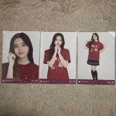 井上和 全ツ大阪ライブT、ドット 生写真 6種コンプ 乃木坂46 生写真 真夏の全国ツアー 大阪 私服 ドット 井上和