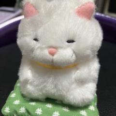 ひげまんじゅう　ぬいぐるみ 緑のビーズ付き