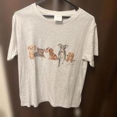 ジェラピケ 犬柄 Tシャツ ダックス 新品未使用 - メルカリ