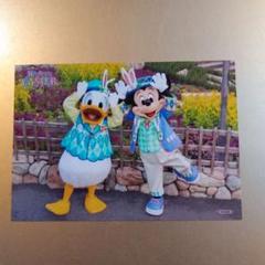 希少　ディズニー　Disney　ミッキー　ドナルド　ポラロイド　フォト　メモ m77200314447_1.jpg?1620129342