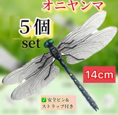 オニヤンマ科 標本 Ar Amazon.co.jp: 昆虫標本 コオニヤンマ : 文房具・オフィス用品