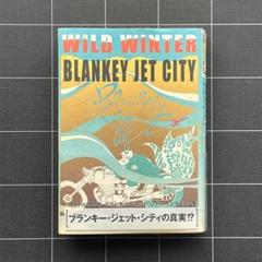 2025年最新】blankey jet city 本の人気アイテム - メルカリ