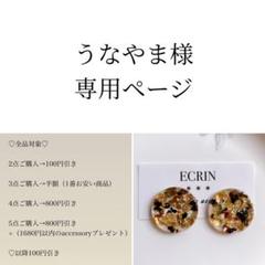 みかんぼうや。様♡専用ページ〔蝶バネイヤリング〕 imgrc0086488208.jpg