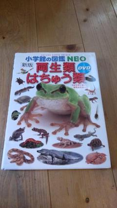 新版本 小学校の図鑑 NEO DVDなし
