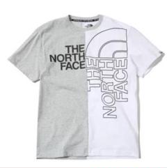 海外限定 ノースフェイス Ｔシャツ ハーフカラー　Ｌ　グレー