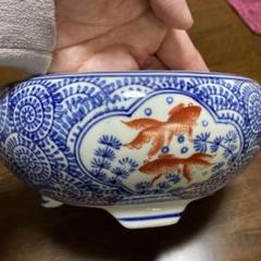 有田焼　蛸唐草