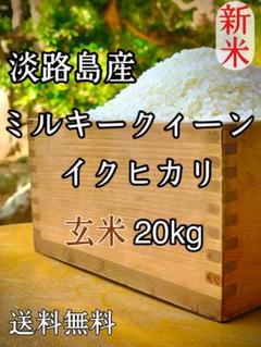 割引中】令和4年 宮崎県佐土原産コシヒカリ 10kg - メルカリ