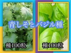 青しそ種100粒 とスイートバジル種100粒