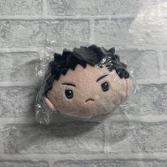 ハイキュー リバーシブルぬいぐるみ 2 岩泉一 - メルカリ
