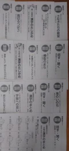 小学生６年生 小６ 国語 カラーテスト 東京書籍 ぶんけい