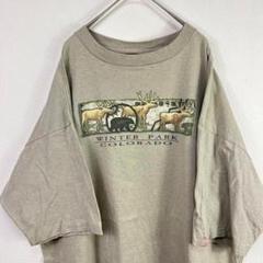 90s USA製 winter park colorado 動物園 Tシャツ