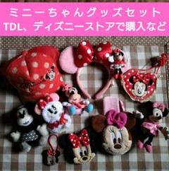 ミニーキャラクターグッズセット ディズニーランド　ディズニーストア