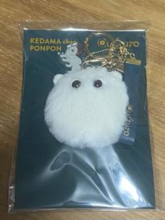 ケダマちゃん ポンポン 文化 eve - メルカリ