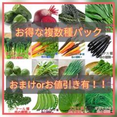 野菜種☆ベビーリーフ 葉ねぎ ルッコラ ケール☆変更→芽キャベツ エゴマ 小蕪