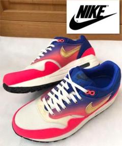 【限定品】レア 美品 NIKE ナイキ エアマックス1 プレミアム 24.5