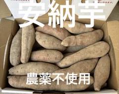✨安心安全 農薬不使用✨　激甘　まるで安納芋　完熟　かぼちゃ　野菜詰め合わせ 楽天市場】安納 芋 無 農薬の通販