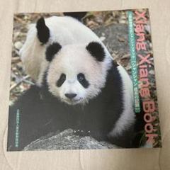 美品 シャンシャンブック 写真集 上野動物園 ジャイアントパンダ シンシン