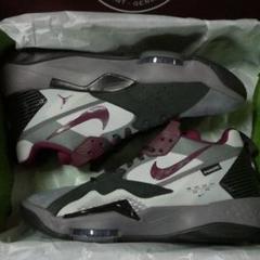 NIKE JORDAN ZOOM 92 PSG