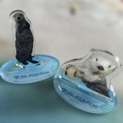 2025年最新】鳥羽水族館 キラの人気アイテム - メルカリ