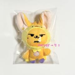 TXT ヨンジュン blue hour ピンクモリ 20cm ドール ぬいぐるみ TXT ヨンジュン blue hour ピンクモリ 20cm ドール ぬいぐるみ K