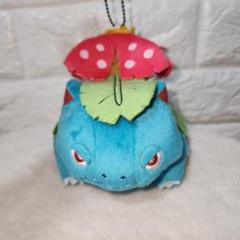 2025年最新】メガフシギバナ ぬいぐるみの人気アイテム - メルカリ