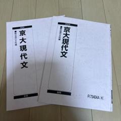 駿台 京大現代文 テキスト通年セット 2024 計2冊 橋立誉史 015m0D 駿台 京大現代文 テキスト通年セット 2024 計2冊 橋立誉史