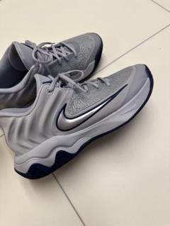 CHAUSSURES NIKE GIANNIS IMMORTALITY 4