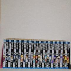 D.Gray-man 1〜28巻 全巻初版 帯 チラシ キャラブック D.Gray-man 第1巻〜第28巻 全巻 初版 帯付き ディーグレイマン