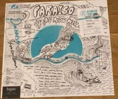 Yogee New Waves PARAISO アナログ レコード