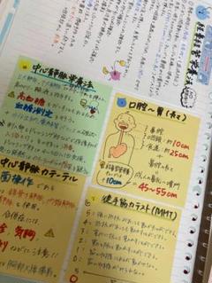 看護付箋ノート ＊ 第１・２弾 Amazon.co.jp: げ 能 看護付箋ノート 看護師国家試験 解剖学など