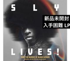 スライ・ストーンSly Stone 映画ポスター B2 スライ・ストーンSly Stone 映画ポスター B2 - メルカリ