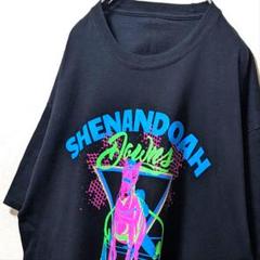 シェナンドーダウンズハーネスレーシング デカロゴ Tシャツ ブラック黒 古着